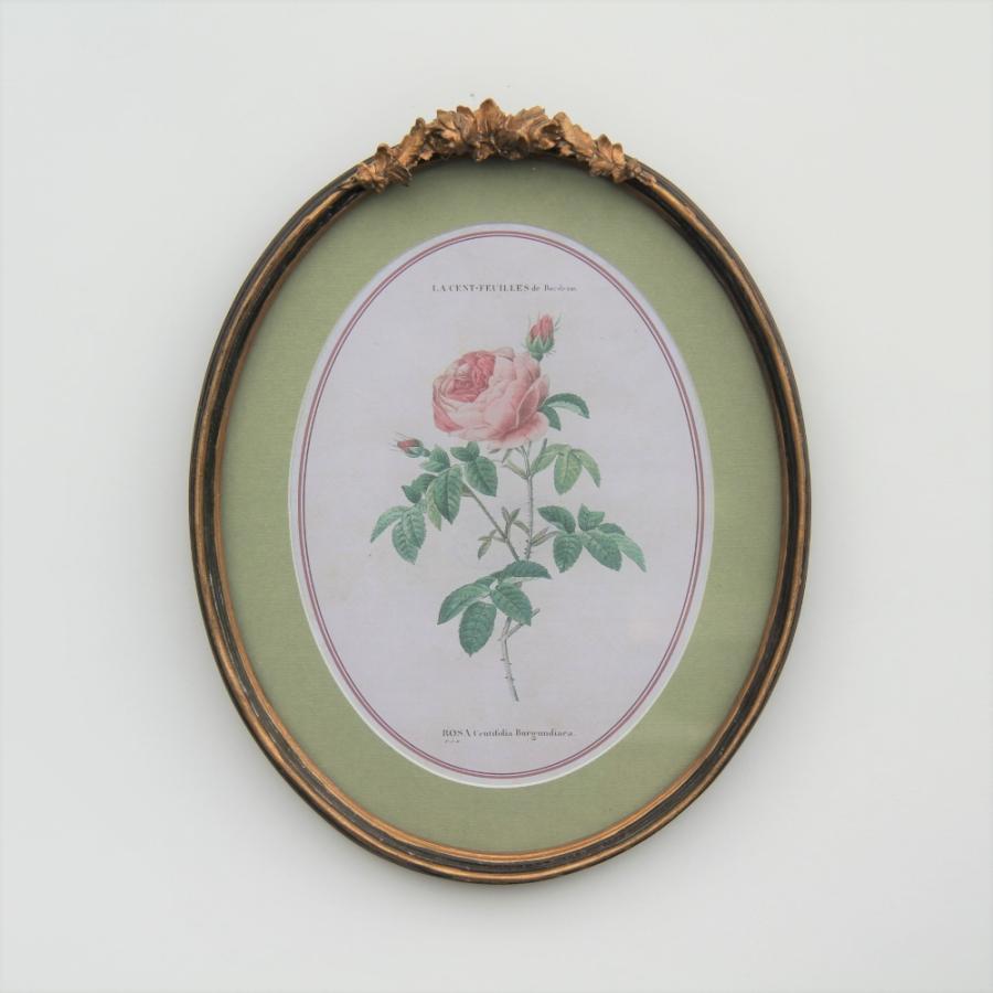 ルドゥーテ 薔薇の額絵 壁掛け 額縁 可愛い アンティーク風 バラ額