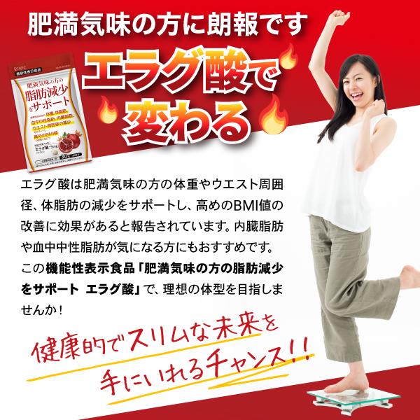 AFC（エーエフシー） エラグ酸 サプリ 30日分 肥満気味の方の 脂肪減少
