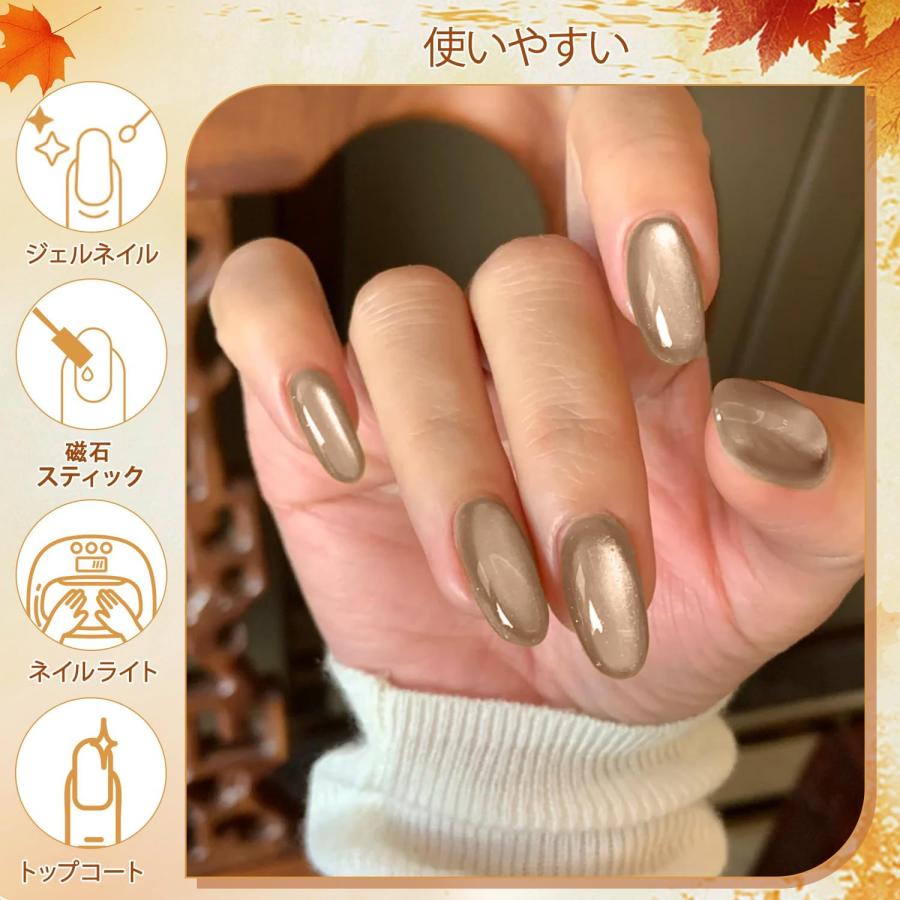 マグネットネイル カラーネイルジェル 透け感 2025年冬の新色 6色