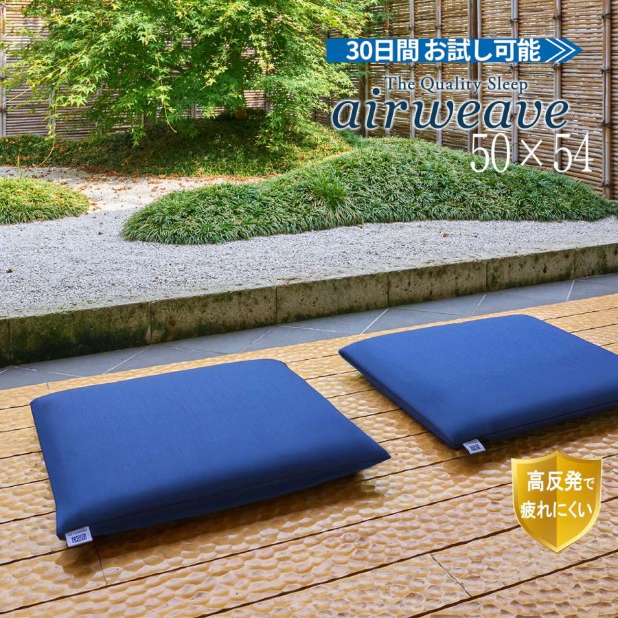 エアウィーヴ（airweave） 座布団 銘仙判 クッション ビッククッション