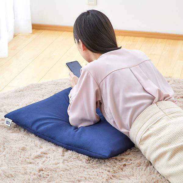 エアウィーヴ（airweave） 座布団 銘仙判 クッション ビッククッション