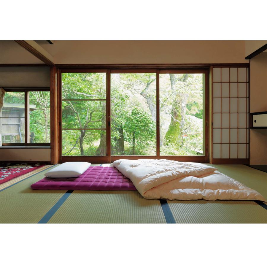 エアウィーヴ（airweave） 四季布団 和匠（わしょう）敷き布団