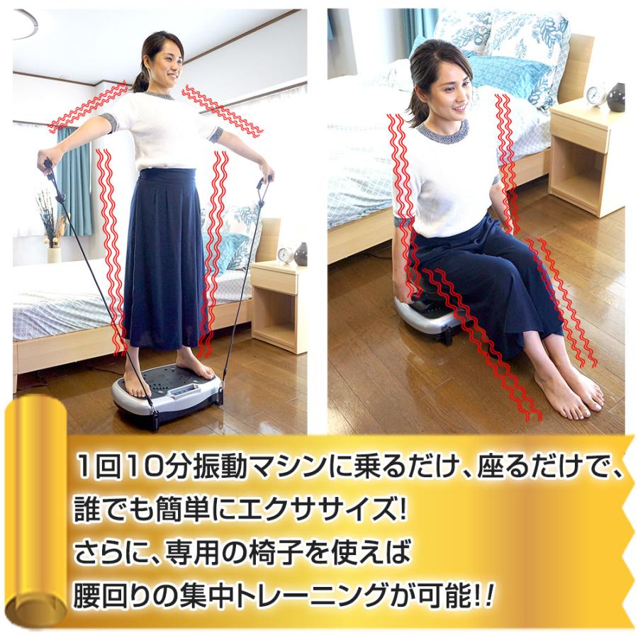 健康器具 ブルブル振動マシン ステッパー ダイエット器具 ライフ