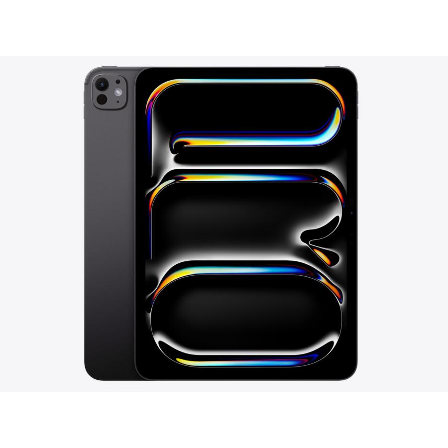 iPad Pro 11インチ 第5世代(2024)M4 Wi-Fi 256GB MVV83J/A (スペース