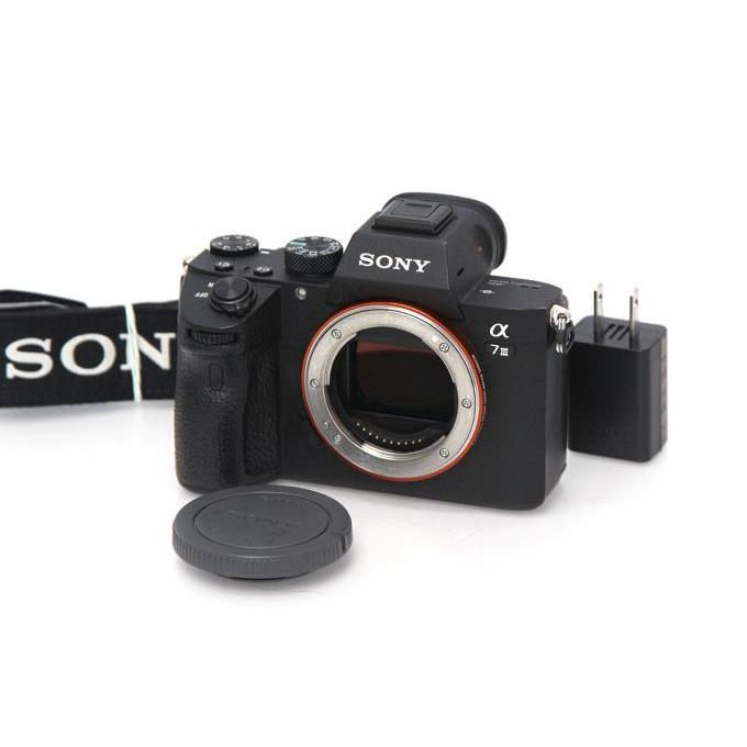 α7 【全額返金保証】美品｜ソニー III ILCE-7M3 ボディ シャッター回数