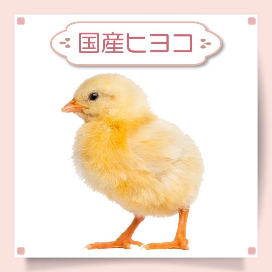 冷凍 ひよこ ヒヨコ 餌 エサ 210羽 猛禽類 爬虫類 フクロウ トカゲ