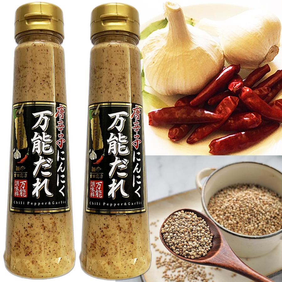 富田商店 唐辛子にんにく 万能だれ 200ml×2本セット えごま入り たれ