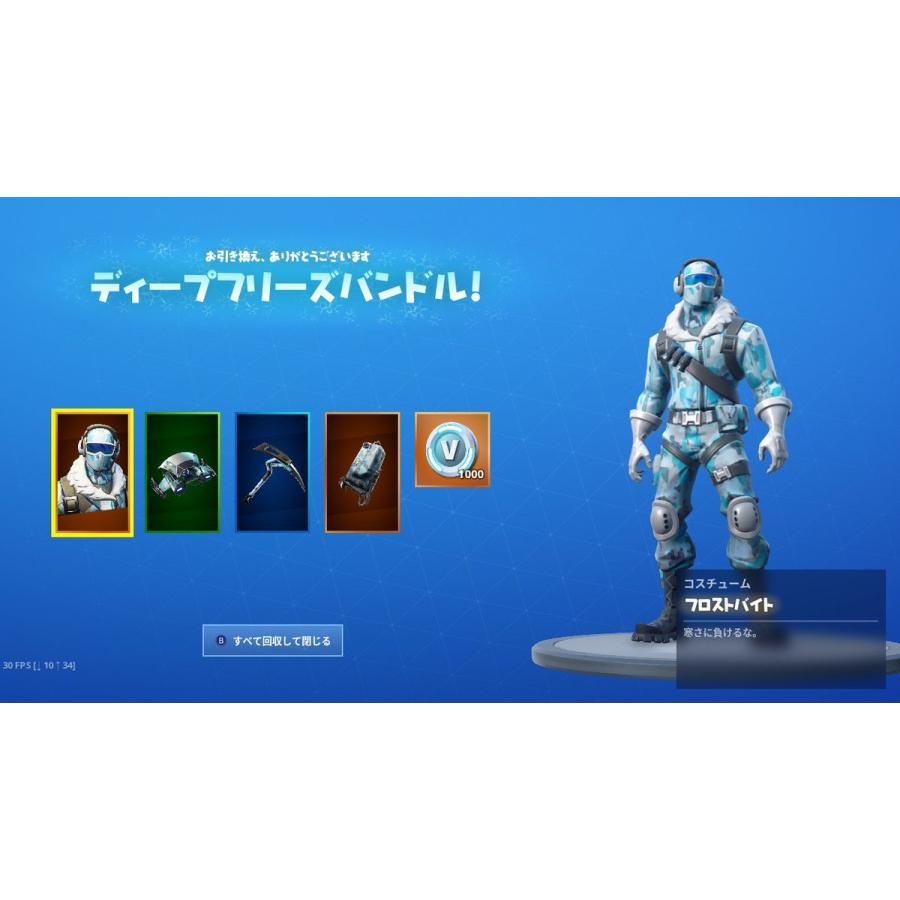 Fortnite - フォートナイト ディープフリーズバンドル [Epic Games版