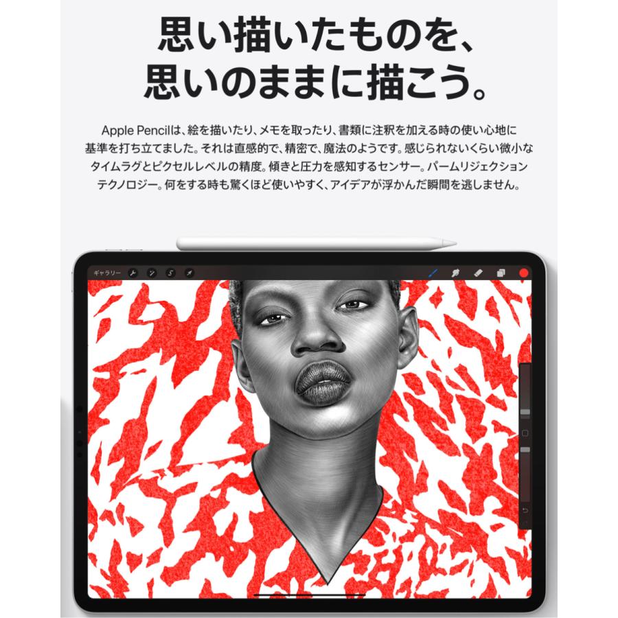 Apple Apple Pencil 第2世代 アップルペンシル 第二世代 MU8F2J/A 新品