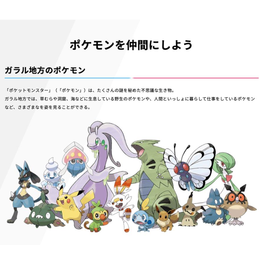 Nintendo Switch 新品 パッケージ版 Nintendo ポケットモンスター