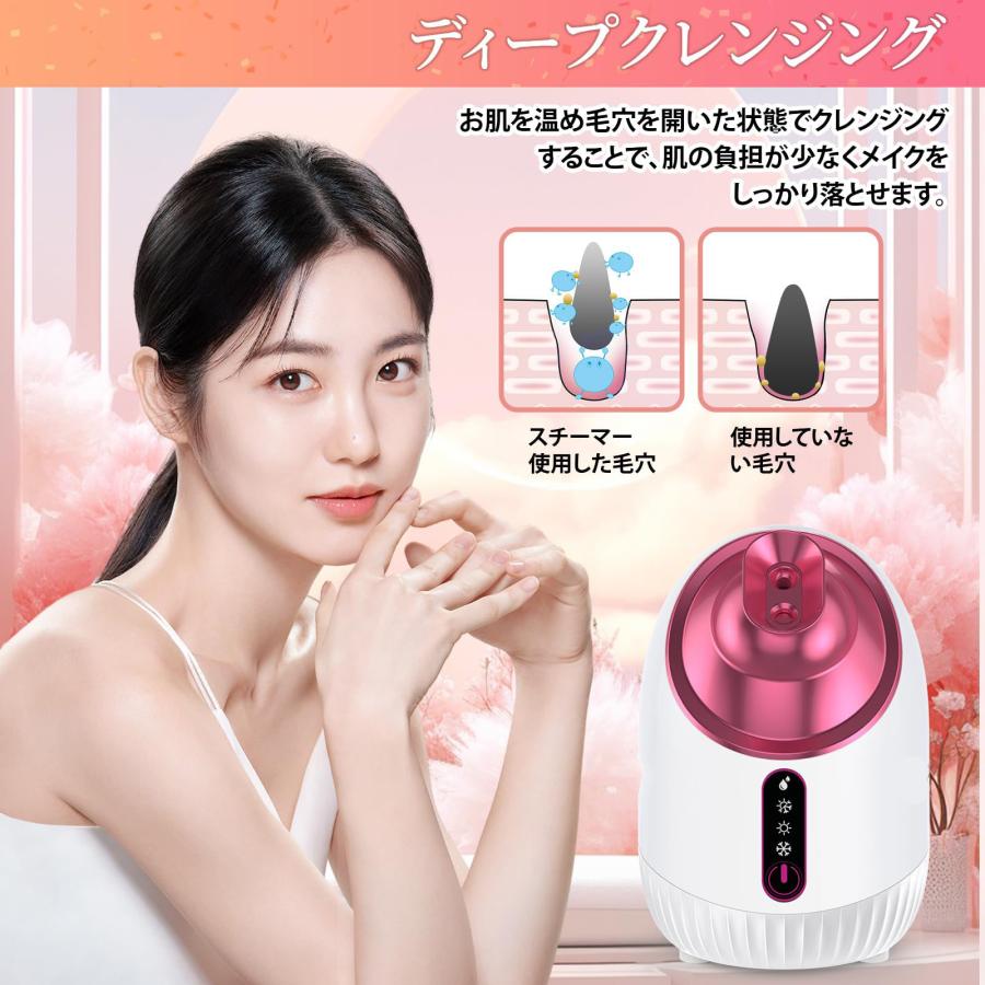 美顔器 フェイスケア 毛穴ケア 濃密ナノミスト 温冷 スチーマー 美容