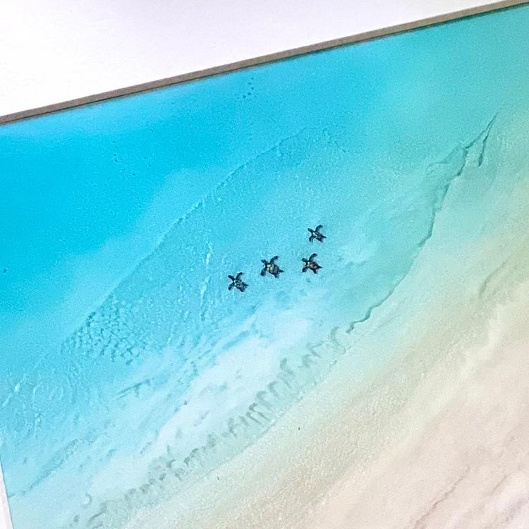 Sarah Caudle サラカードル ハワイ アート 絵画 プリント ハワイアン