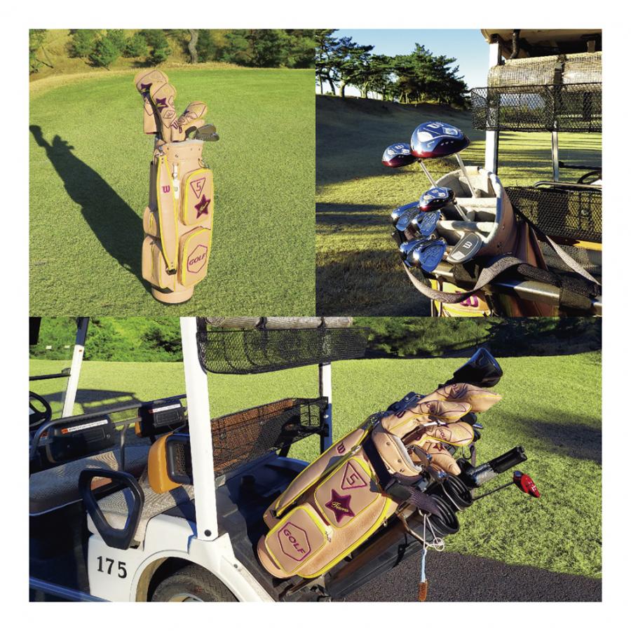 Wilson（ウイルソン） レディース Tiara Niino クラブ8本セット ゴルフ