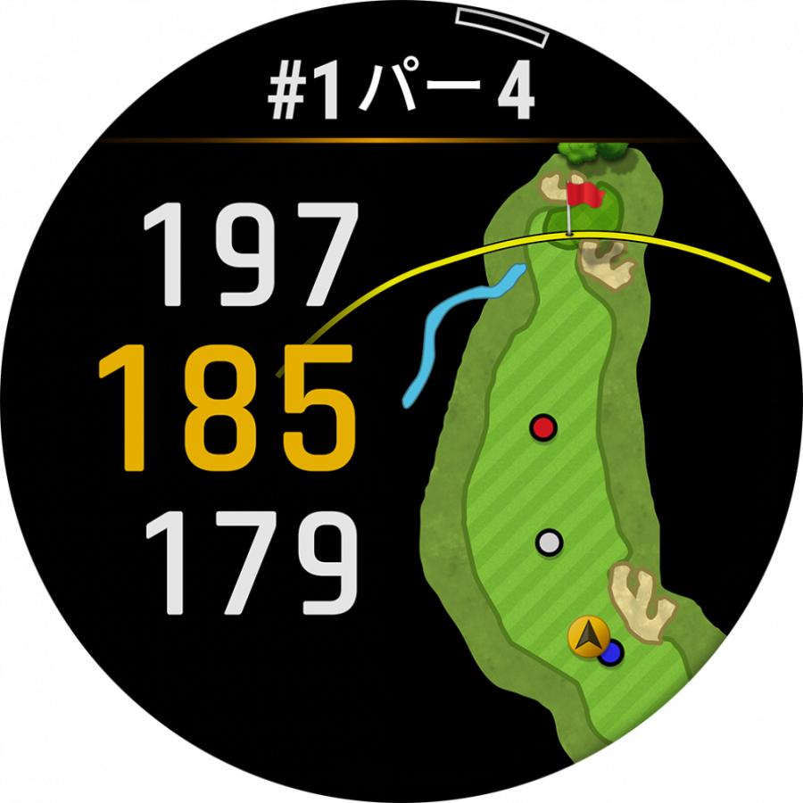 GARMIN（ガーミン） レーザー距離計 Approach Z30 0100295010 ゴルフ