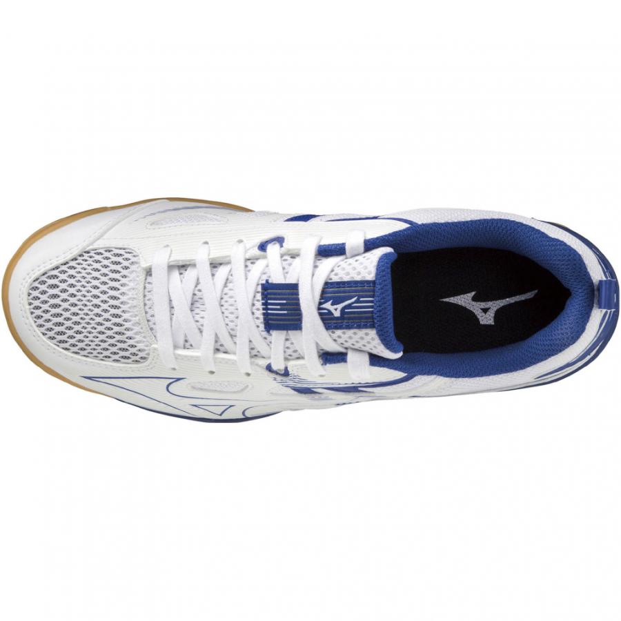 MIZUNO（ミズノ） ウエーブカイザーブルク 7 81GA222027 メンズ