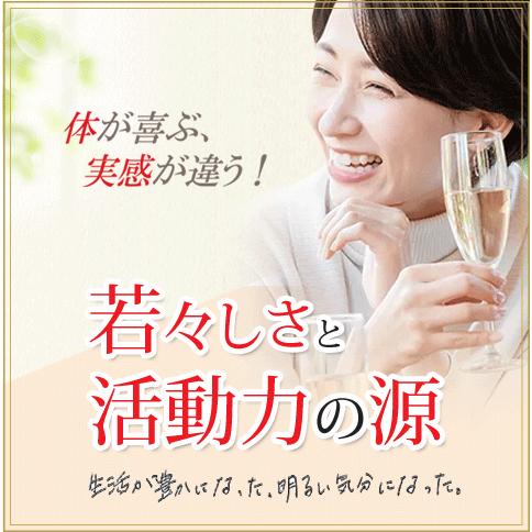 Alphay 冬虫夏草 6箱セット 純度100% 国際博覧会金賞受賞！サナギダケ