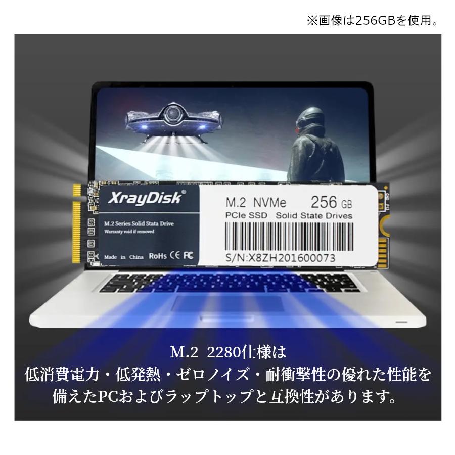 M.2 NVMe 1TB | 内蔵SSD 外付けSSD Xray Disk PCIe ノートブックPC用