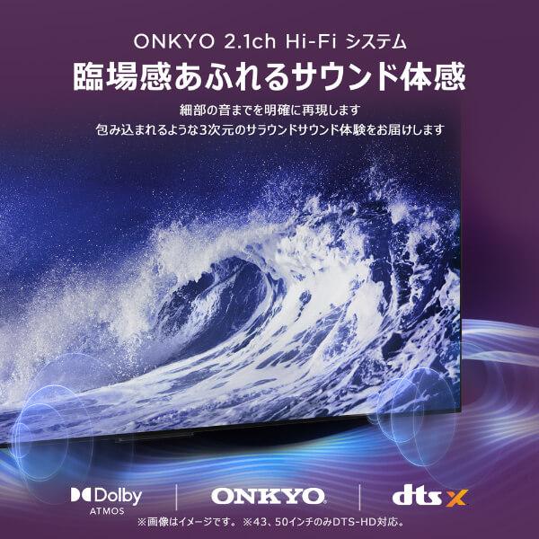 TCL 期間限定ポイント5倍！ テレビ 55型 液晶テレビ TCL 55インチ TV
