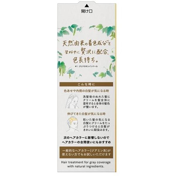 Kao（花王） ブローネ ナチュリラ 色長持ちカラートリートメント