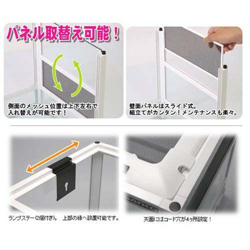 三晃商会 [送料無料] パンテオン ホワイト6035 サンコー 爬虫類 ガラス