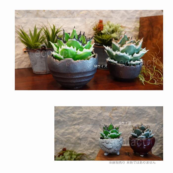 フェイクグリーン 3D フィギュア アガベ チタノタ Sサイズ φ85mm