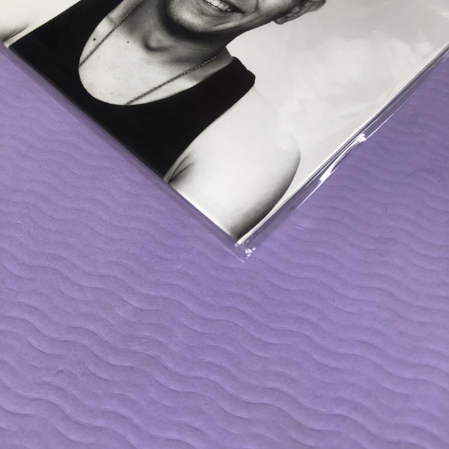 未開封新品 ザ・ブルーハーツ Blue Hearts 2017年 LPレコード ヤング