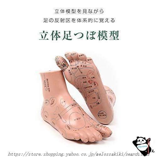 足つぼ 模型 足つぼマッサージ 体系的に覚える図解 表 ダイエット ツボ