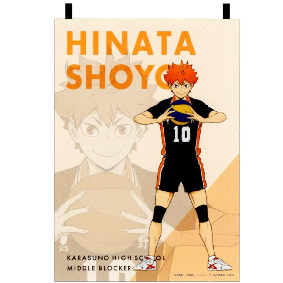 ハイキュー！！ ファブリックポスター 日向翔陽 202579 : 玩具と文具