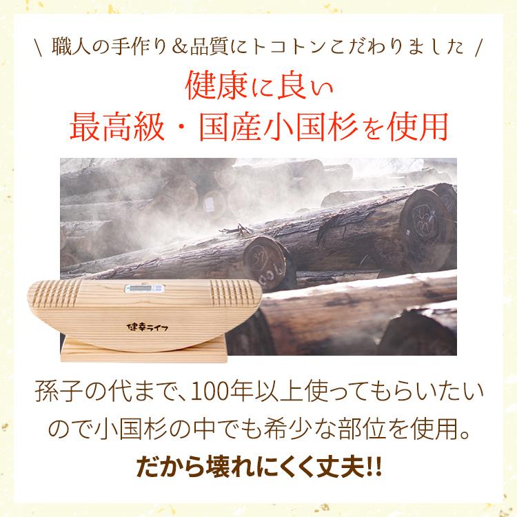 あしふみ健幸ライフ 【公式】リハビリ 介護 トレーニング ステッパー