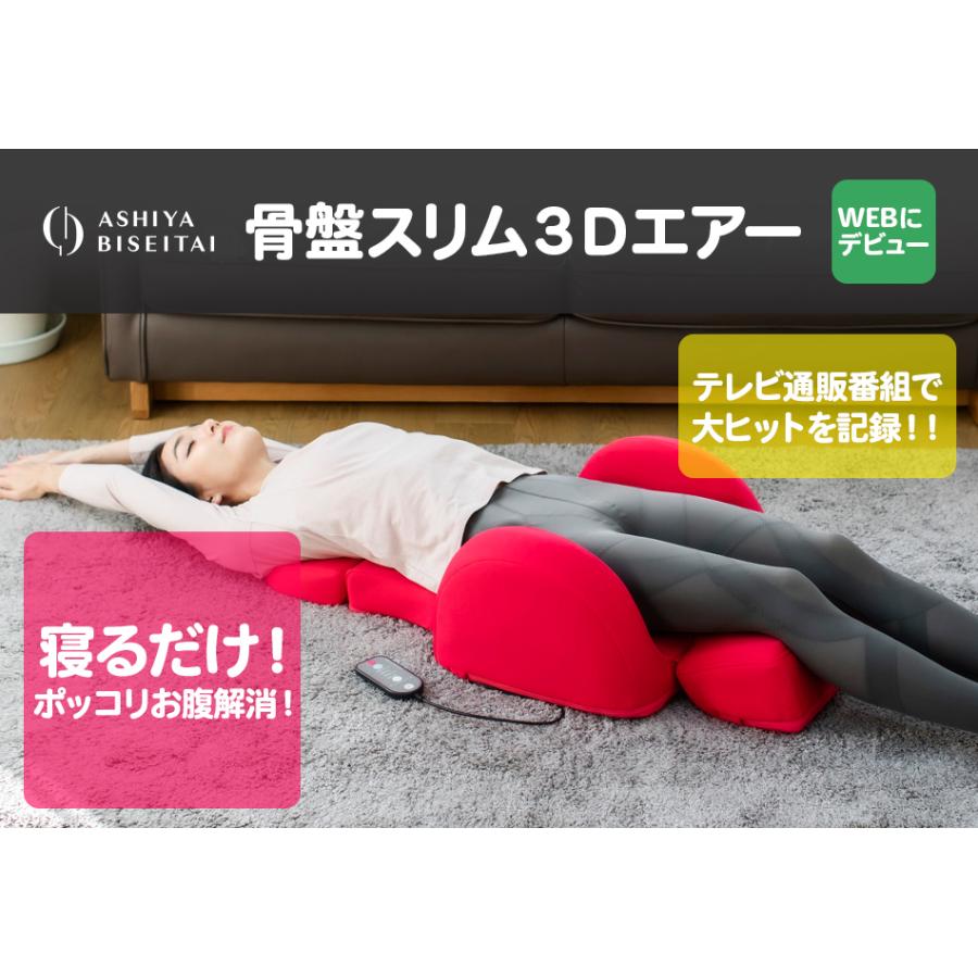 ブランド公式＆送料無料】芦屋美整体 骨盤スリム3Dエアー エアー