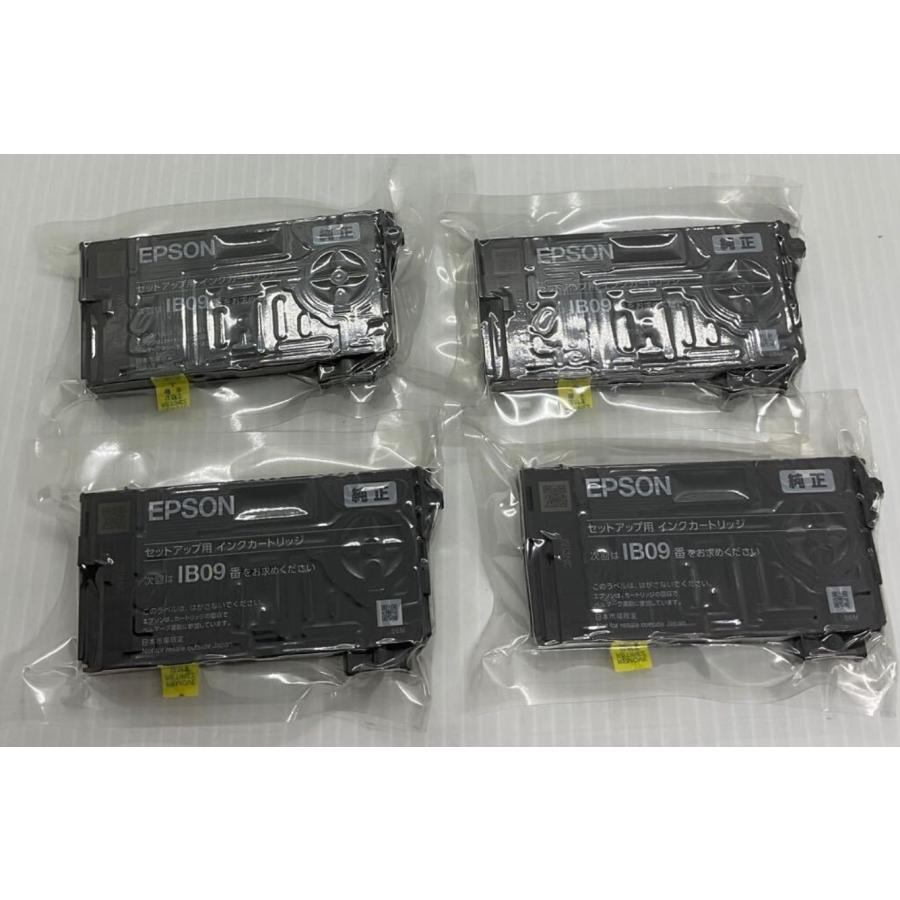 エプソン（EPSON） IB09CL4B 純正 インクカートリッジ 4色パック 大