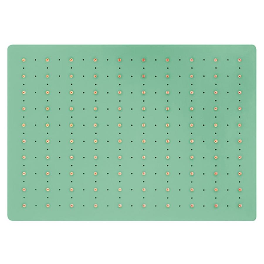 セルパップ ゼロ磁場 アーシングマット 100 アーシングマット ー