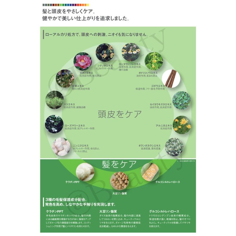 FIOLE（フィヨーレ） BLカラー 120g 5GB (医薬部外品)（在庫限り特価