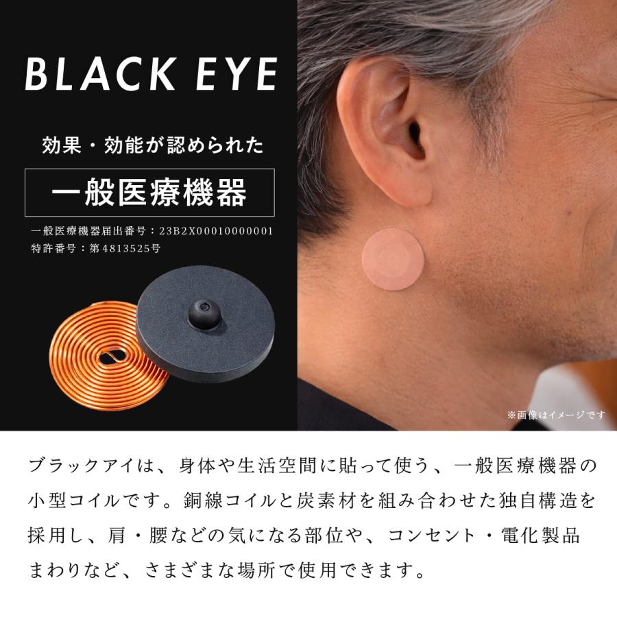 unica（ユニカ） 丸山式コイル ブラックアイ 2個入 貼替シール10枚入