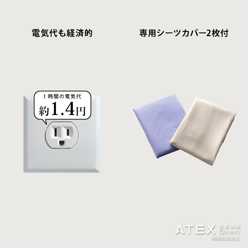 アテックス（ATEX） 家庭用 電位治療器 イオネス アルファ シングル AX