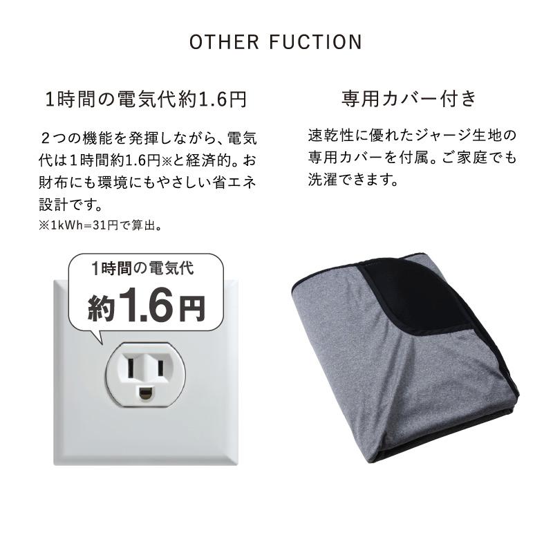 アテックス（ATEX） 家庭用 電位治療器 イオネス リカバリー AX-BIA605