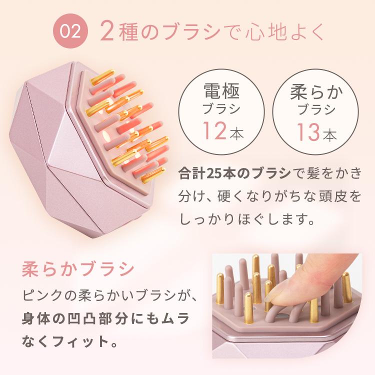 ルルド EMSリフトブラシ AX-NBL506 アテックス EMS 美顔器 ブラシ