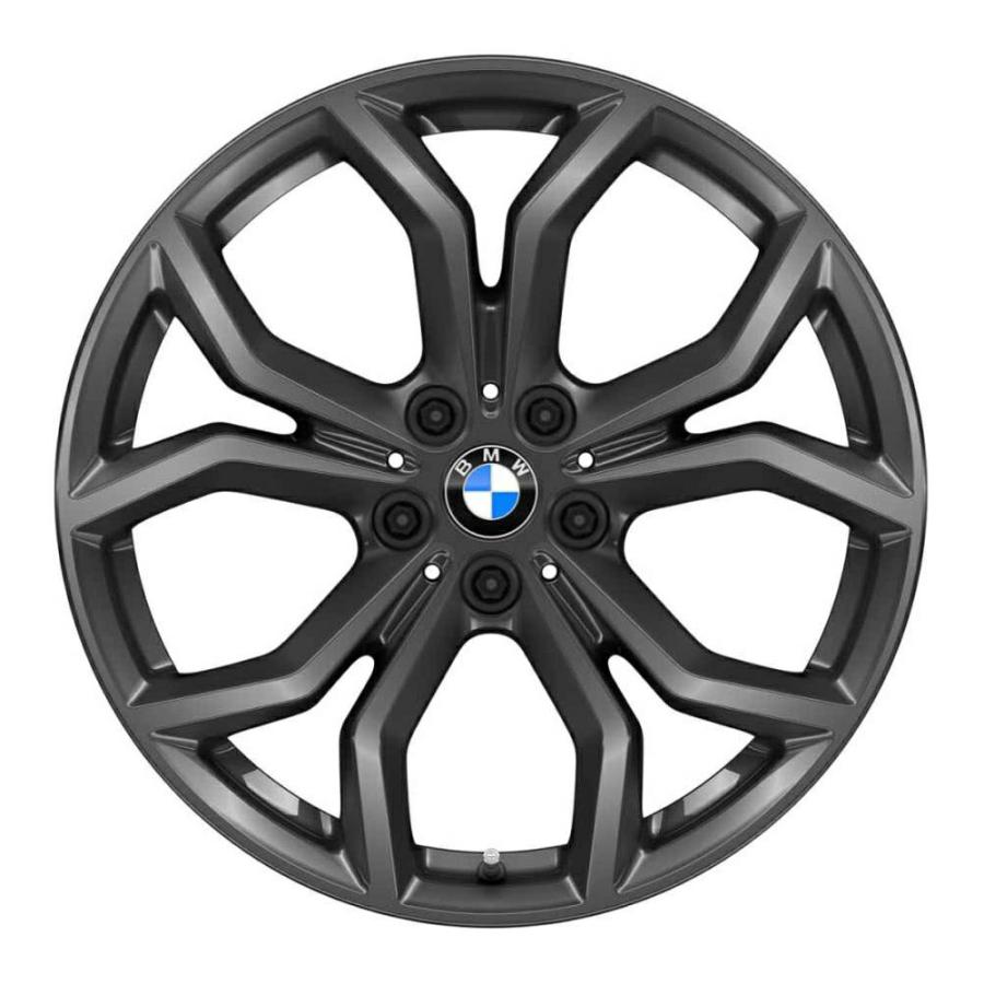 BMW純正】X3(G01)／X4(G02)用 19インチ Yスポークホイール スタイル694