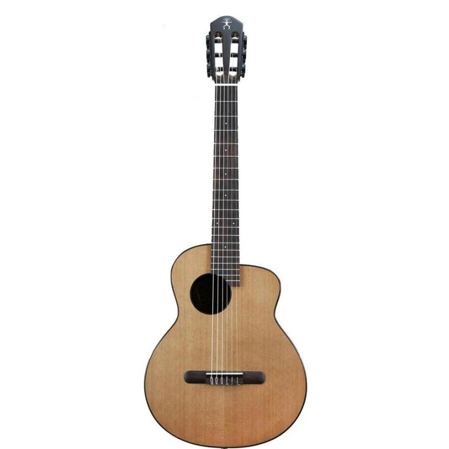 aNueNue aNN-MN14 ナイロン弦モデル アヌエヌエ バードギター 送料無料