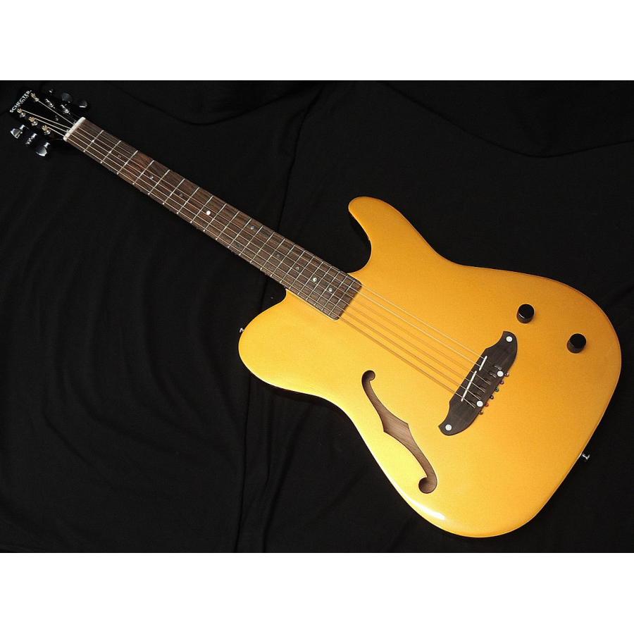 SCHECTER SCHECTER OL-FL-P GO シェクター 薄胴 Fホール エレアコ