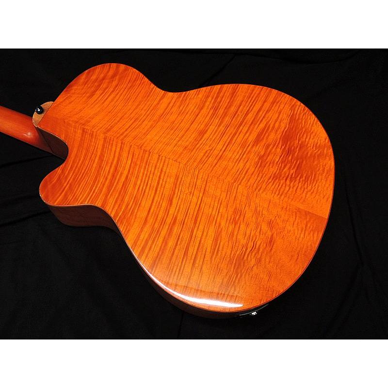 ARIA（アリア） ARIA FET-F2 BSG Fホールエレアコ アコースティック