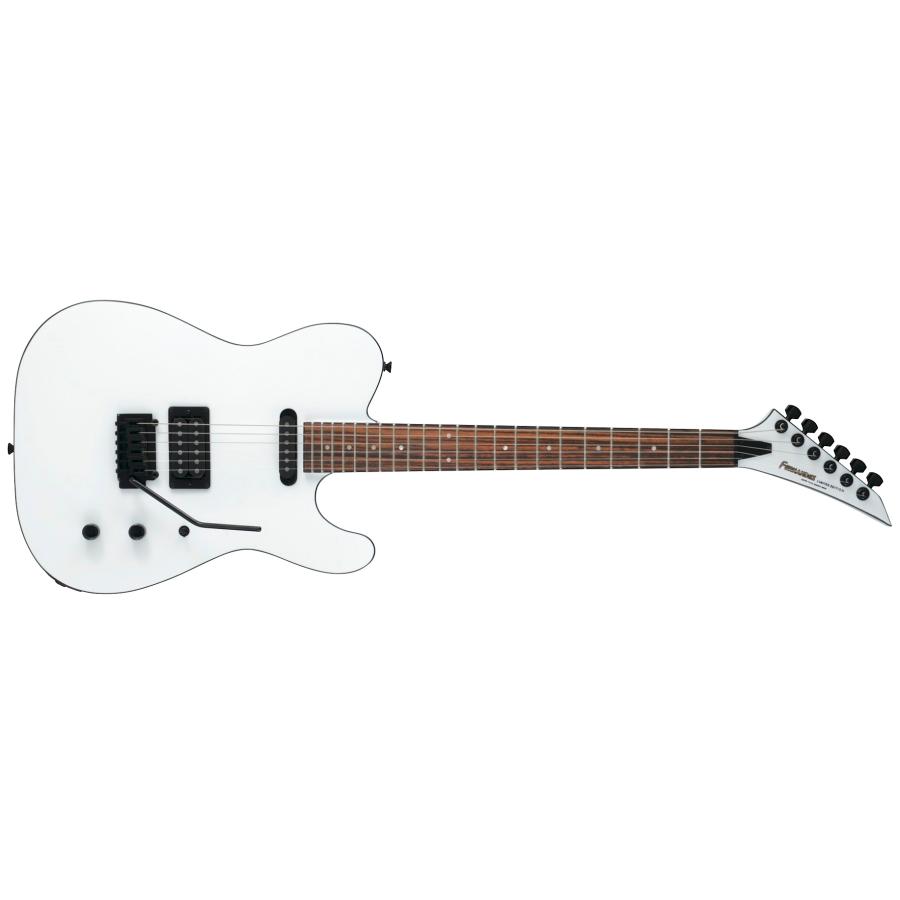 FERNANDES（フェルナンデス） Fernandes TEJ-STD SH SW エレキギター