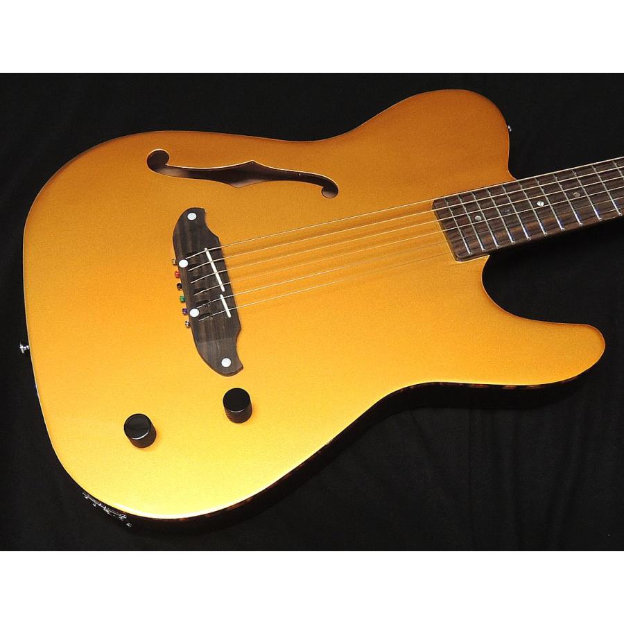 SCHECTER SCHECTER OL-FL-P GO シェクター 薄胴 Fホール エレアコ