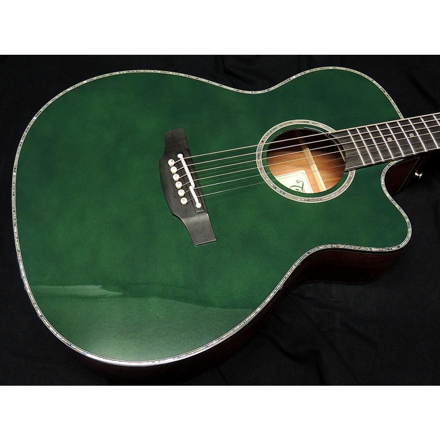 Takamine Takamine LTD2025 AEG Antique Evergreen タカミネ エレアコ