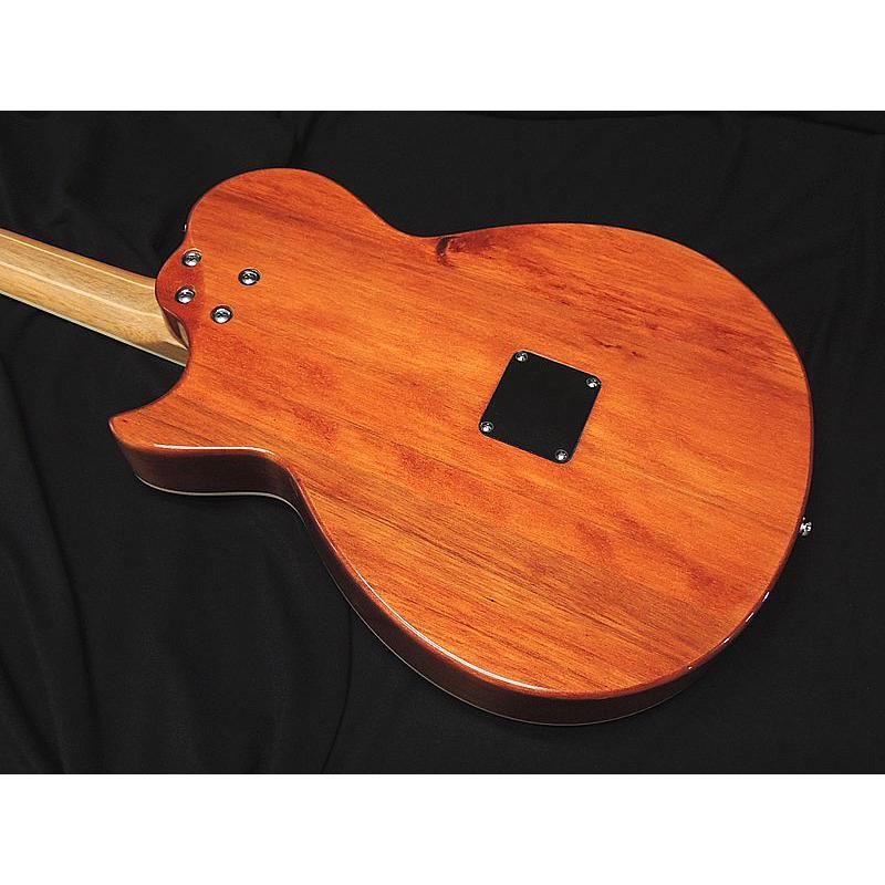 ARIA（アリア） ARIA APE-100 N 薄胴 サイドサウンドホール エレアコ