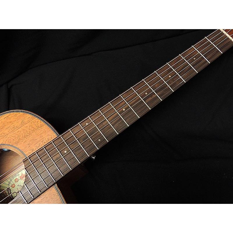aNueNue Bird Guitar aNN-M20E マホガニー単板トップ アヌエヌエ