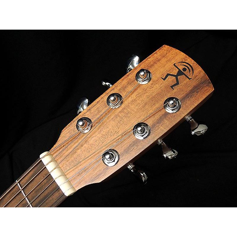 aNueNue Bird Guitar aNN-M20E マホガニー単板トップ アヌエヌエ