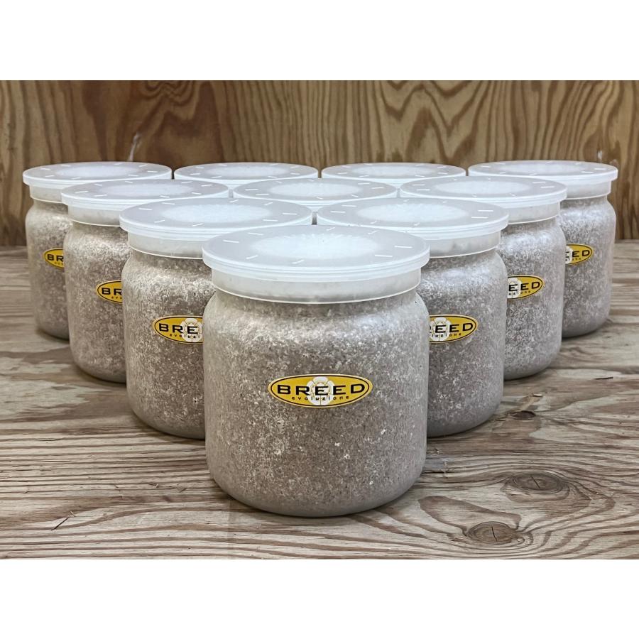 菌糸ビン 高品質 高性能 BREED 1500ml 10本セット ブリード 菌糸瓶 菌