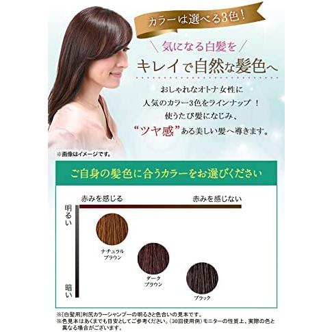 利尻 利尻カラーシャンプー ダークブラウン 500ml 大容量サイズ : BR