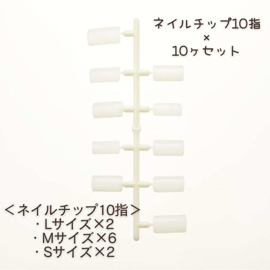 滝川（TAKIGAWA） JNEC認定ハンド用 ネイルチップ 10指 10セット ST